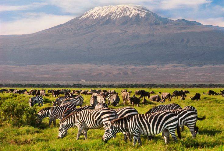 Game Drives Kenya