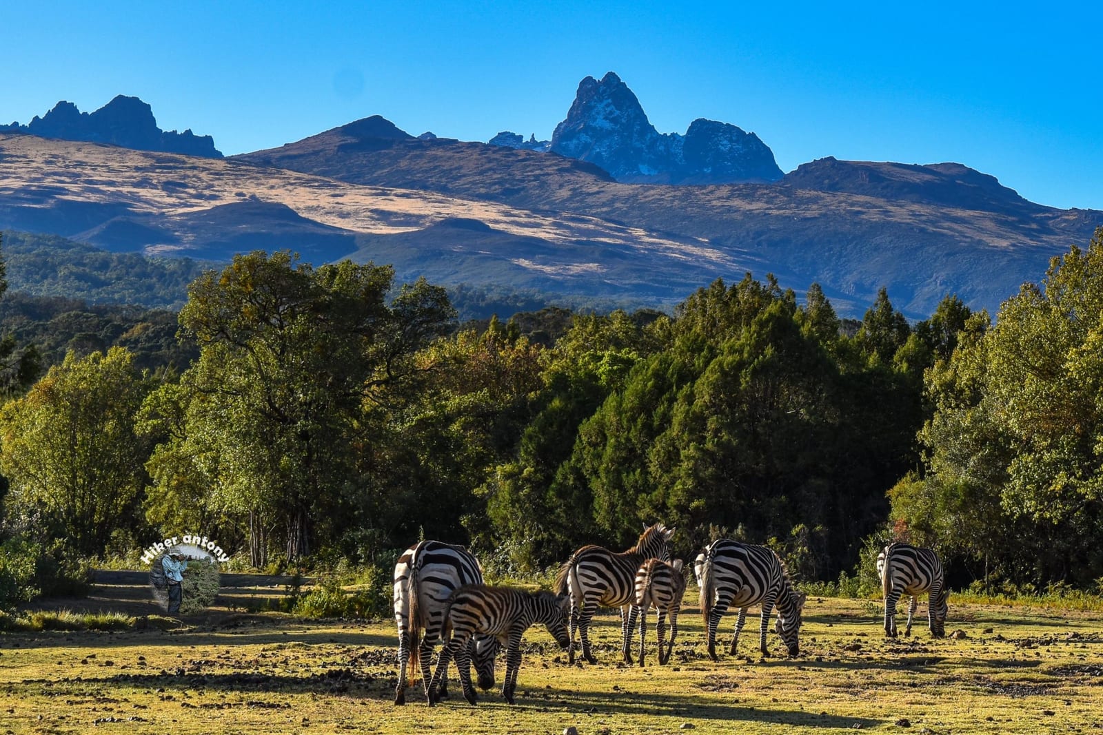 Road Trips and Adventures Kenya