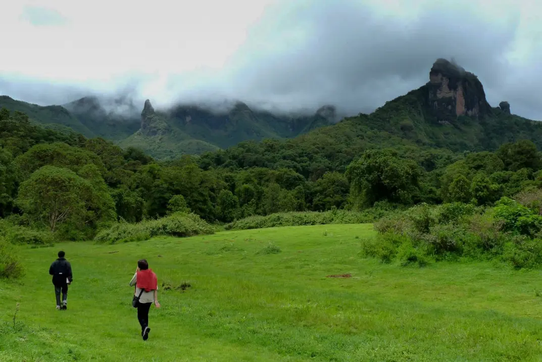 classic-ethiopia-bale-mountains
